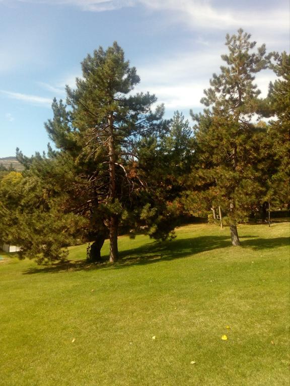 Балнеохотел Роза Strelcha Buitenkant foto